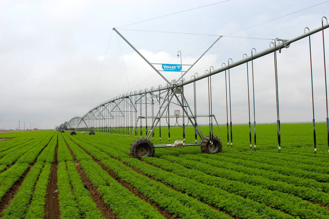 Benefits of Center Pivot Irrigation (Video)