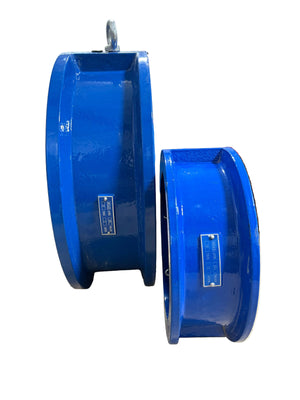 Wafer Check Valve